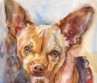 Watercolor Pet Portrait Painting