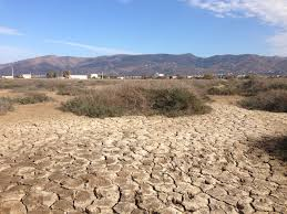 Arizona Water & Drought