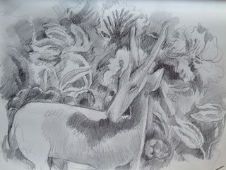 Pencil Drawing at Rock Creek Park or National Gallery of Art