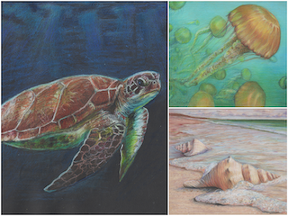Colored Pencil Under-the-Sea Workshop
