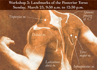 Anatomical Figure Drawing Workshop Series with Kristin Mount