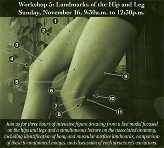 Anatomical Figure Drawing Workshop Series with Kristin Mount