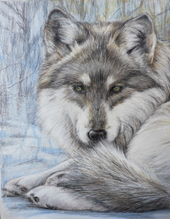 Glen Echo Park Partnership for Arts and Culture | Colored Pencil Animal  Drawing | Online Registration