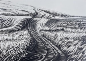 Dynamic Landscape Charcoals From Photos